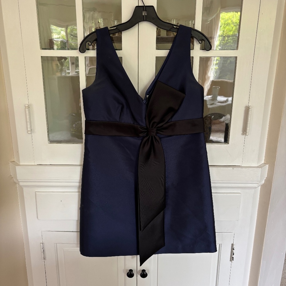 Tory Birth dress